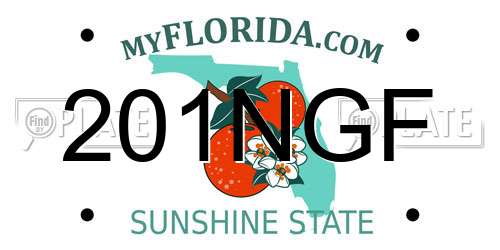 201NGF Florida License Plate