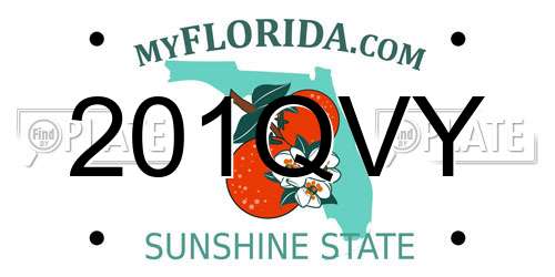 201QVY Florida License Plate