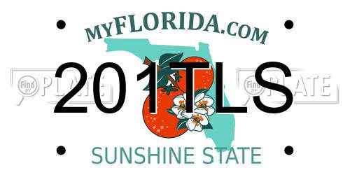 201TLS Florida License Plate
