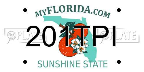 201TPI Florida License Plate