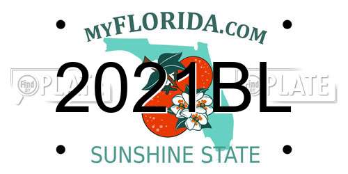2021BL Florida License Plate