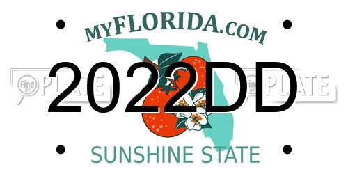 2022DD Florida License Plate