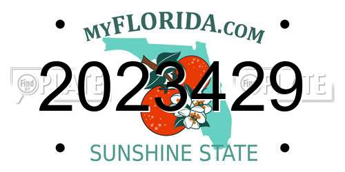 2023429 Florida License Plate