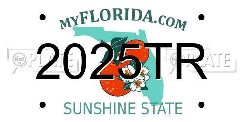 2025TR Florida License Plate