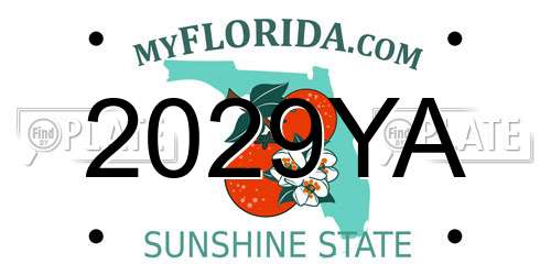 2029YA Florida License Plate