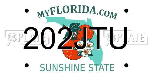 202JTU Florida License Plate