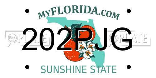202PJG Florida License Plate