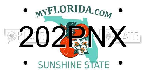 202PNX Florida License Plate