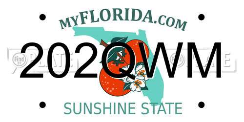 202QWM Florida License Plate