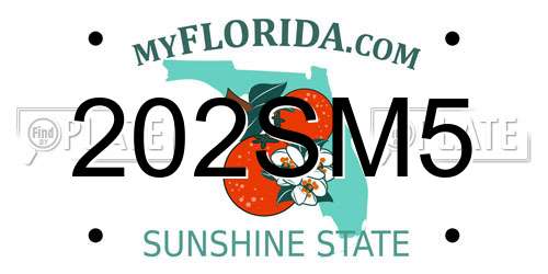202SM5 Florida License Plate