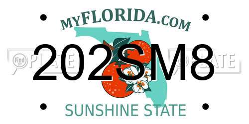 202SM8 Florida License Plate