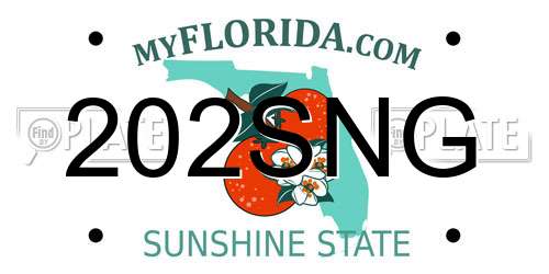 202SNG Florida License Plate