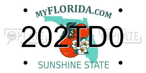 202TD0 Florida License Plate