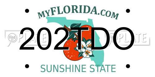 202TDO Florida License Plate