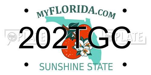 202TGC Florida License Plate