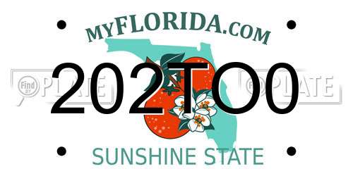 202TO0 Florida License Plate