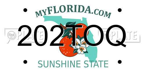 202TOQ Florida License Plate