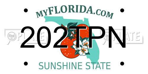 202TPN Florida License Plate