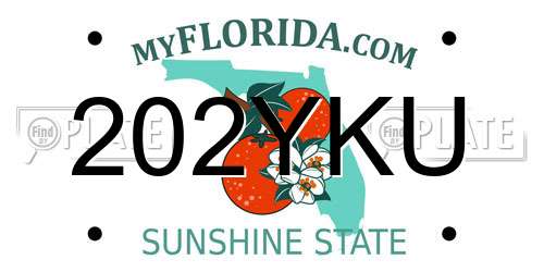 202YKU Florida License Plate