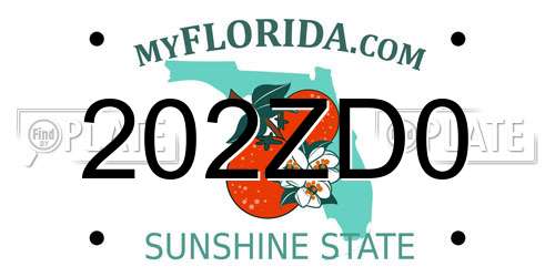 202ZD0 Florida License Plate