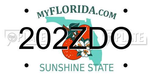 202ZDO Florida License Plate