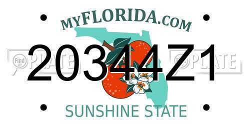 20344Z1 Florida License Plate