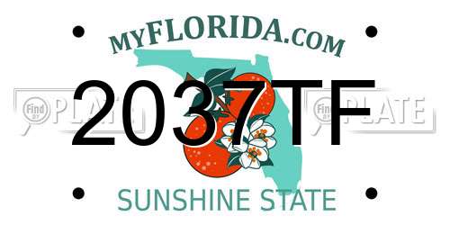 2037TF Florida License Plate