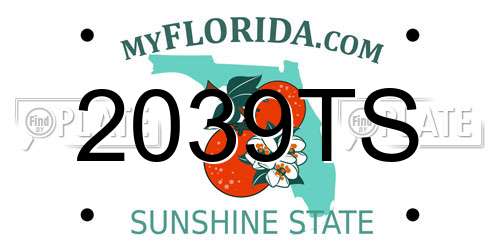2039TS Florida License Plate