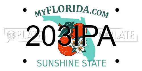 203IPA Florida License Plate