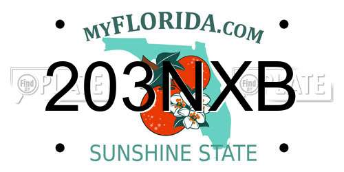 203NXB Florida License Plate