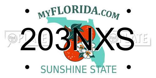 203NXS Florida License Plate