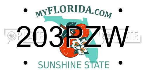 203PZW Florida License Plate