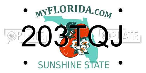 203TQJ Florida License Plate