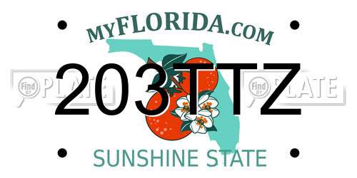 203TTZ Florida License Plate