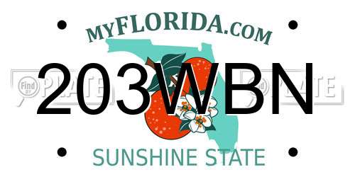 203WBN Florida License Plate