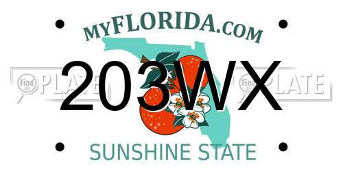 203WX Florida License Plate