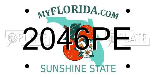 2046PE Florida License Plate