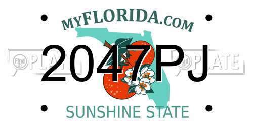 2047PJ Florida License Plate