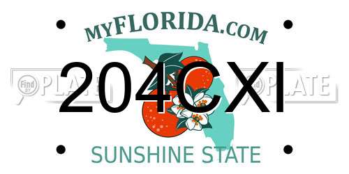 204CXI Florida License Plate