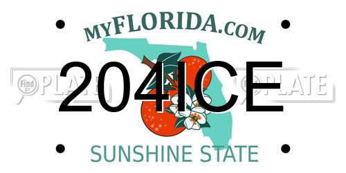 204ICE Florida License Plate