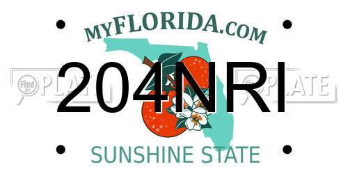 204NRI Florida License Plate