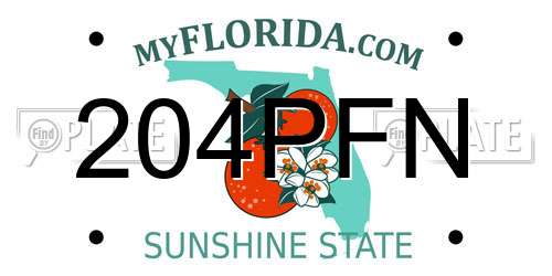 204PFN Florida License Plate