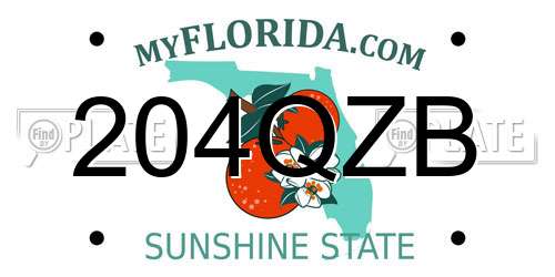 204QZB Florida License Plate