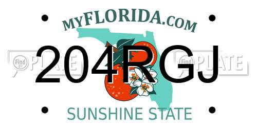 204RGJ Florida License Plate