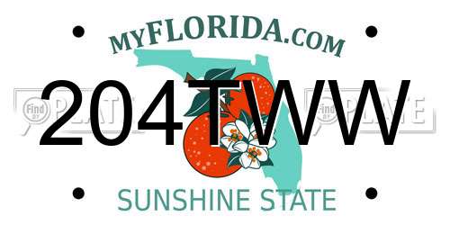 204TWW Florida License Plate