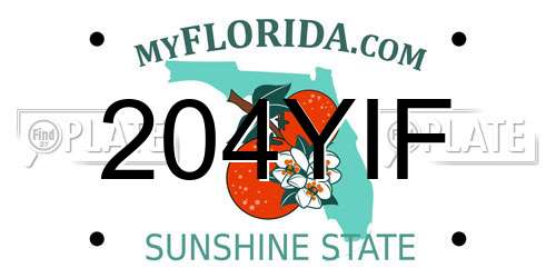 204YIF Florida License Plate