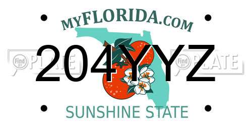 204YYZ Florida License Plate