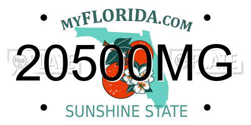 20500MG Florida License Plate