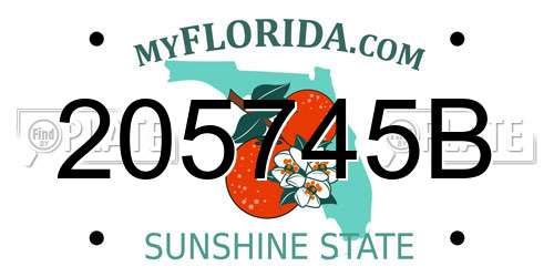 205745B Florida License Plate