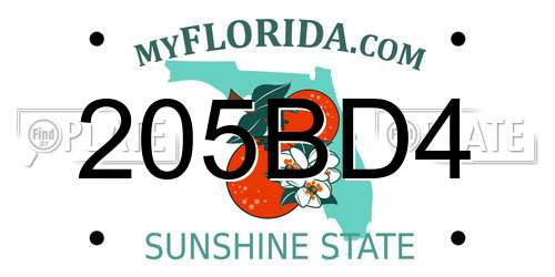 205BD4 Florida License Plate